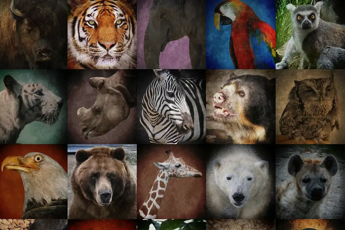 Koliko vrst živali živi na svetu: številke vas bodo presenetile