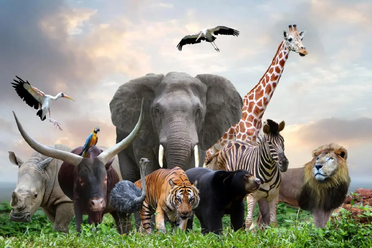 Koliko vrst živali živi na svetu: številke vas bodo presenetile